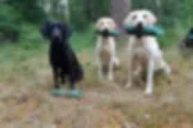Milou