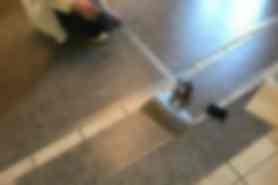 Milou