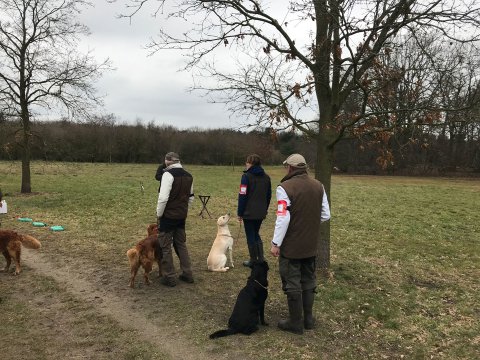 Team Working Test 03.2018 Holland